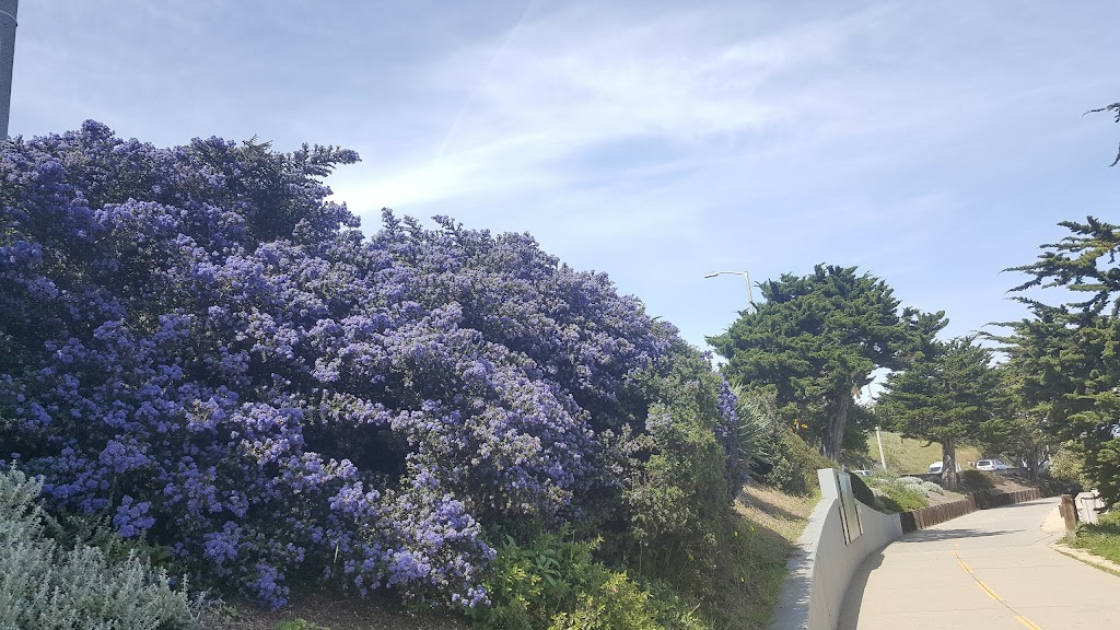 Dock Side Fish Market | restaurant | 15 Fishermans Wharf, Monterey, CA 93940, USA | 8316496426 OR +1 831-649-6426