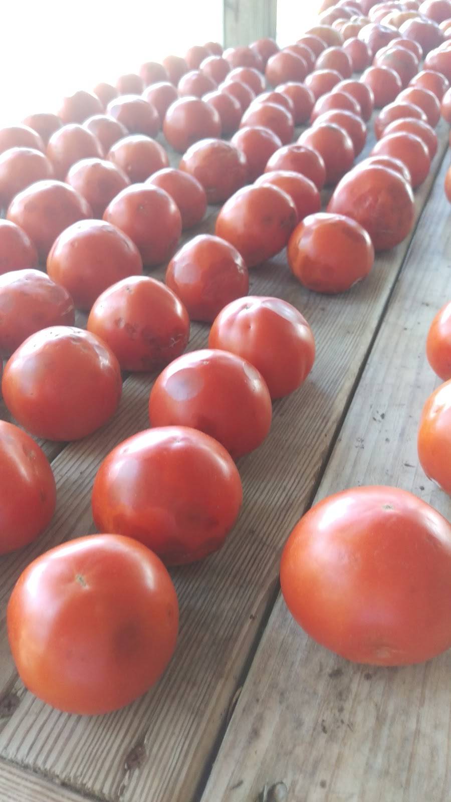 Lowcountry Produce | restaurant | 1919 Trask Pkwy, Seabrook, SC 29940, USA | 8438469438 OR +1 843-846-9438