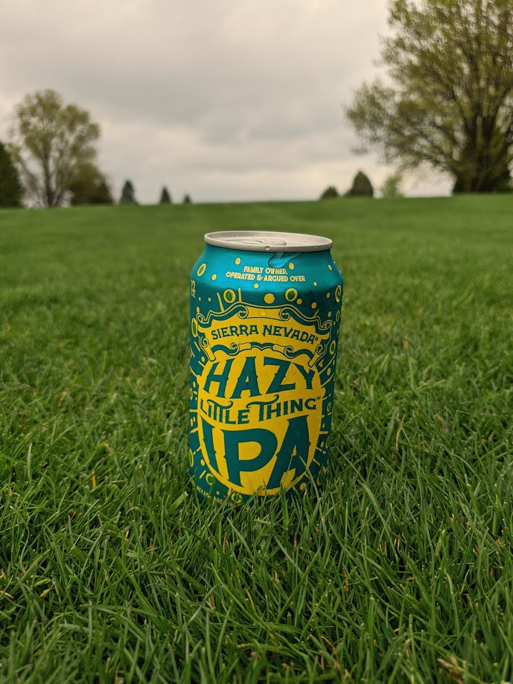 Waverly Golf & Country Club | restaurant | 705 8th St SW, Waverly, IA 50677, USA | 3193523855 OR +1 319-352-3855