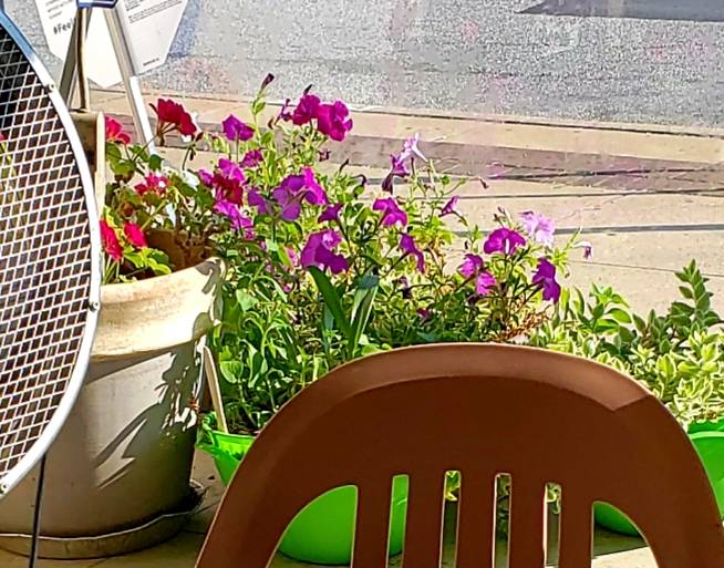 Caribbean Heat | restaurant | 4740 Liberty Heights Ave, Baltimore, MD 21207, USA | 4105423131 OR +1 410-542-3131