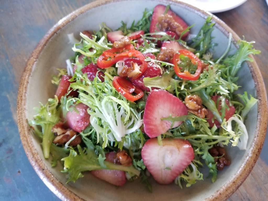 White Dog Cafe Wayne | restaurant | 200 W Lancaster Ave, Wayne, PA 19087, USA | 6102253700 OR +1 610-225-3700