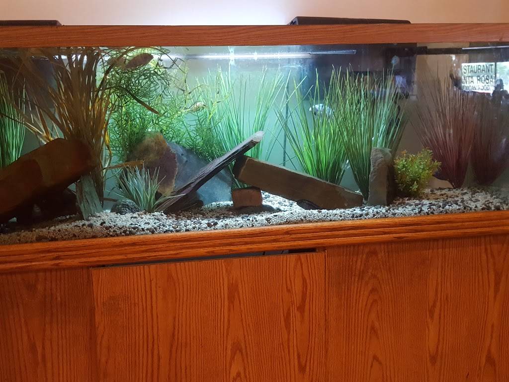 Santa Rosa Restaurante | restaurant | 3720 Walnut Hill Ln # 109, Dallas, TX 75229, USA | 2149049887 OR +1 214-904-9887