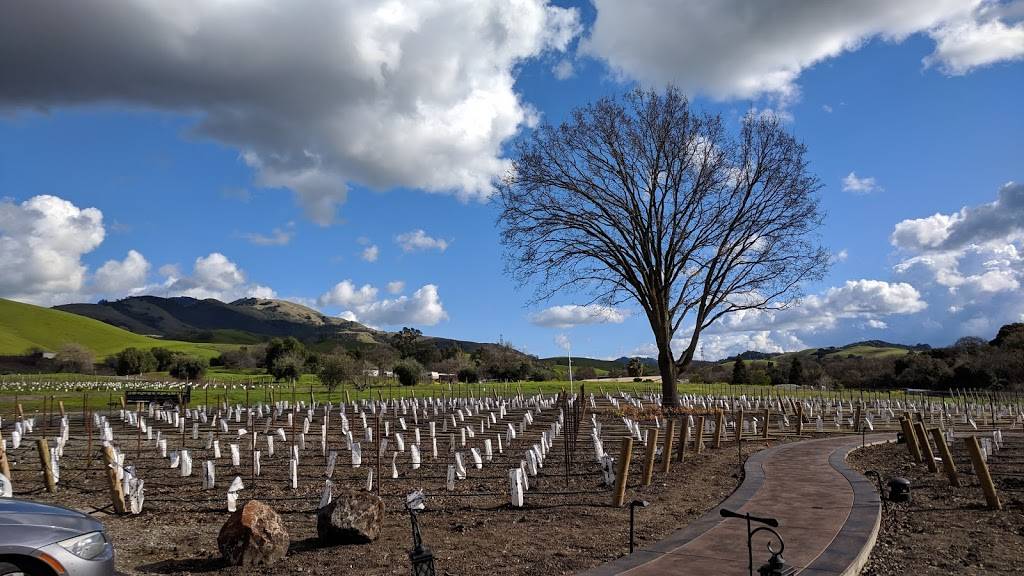 Shadowbrook Winery | restaurant | 1 Meritage Lane, Walnut Creek, CA 94598, USA | 9259889463 OR +1 925-988-9463