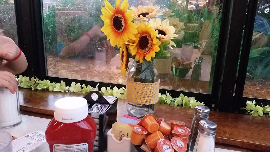 Johnny Pamcakes | restaurant | 3700 E State St, Rockford, IL 61108, USA | 8152297415 OR +1 815-229-7415