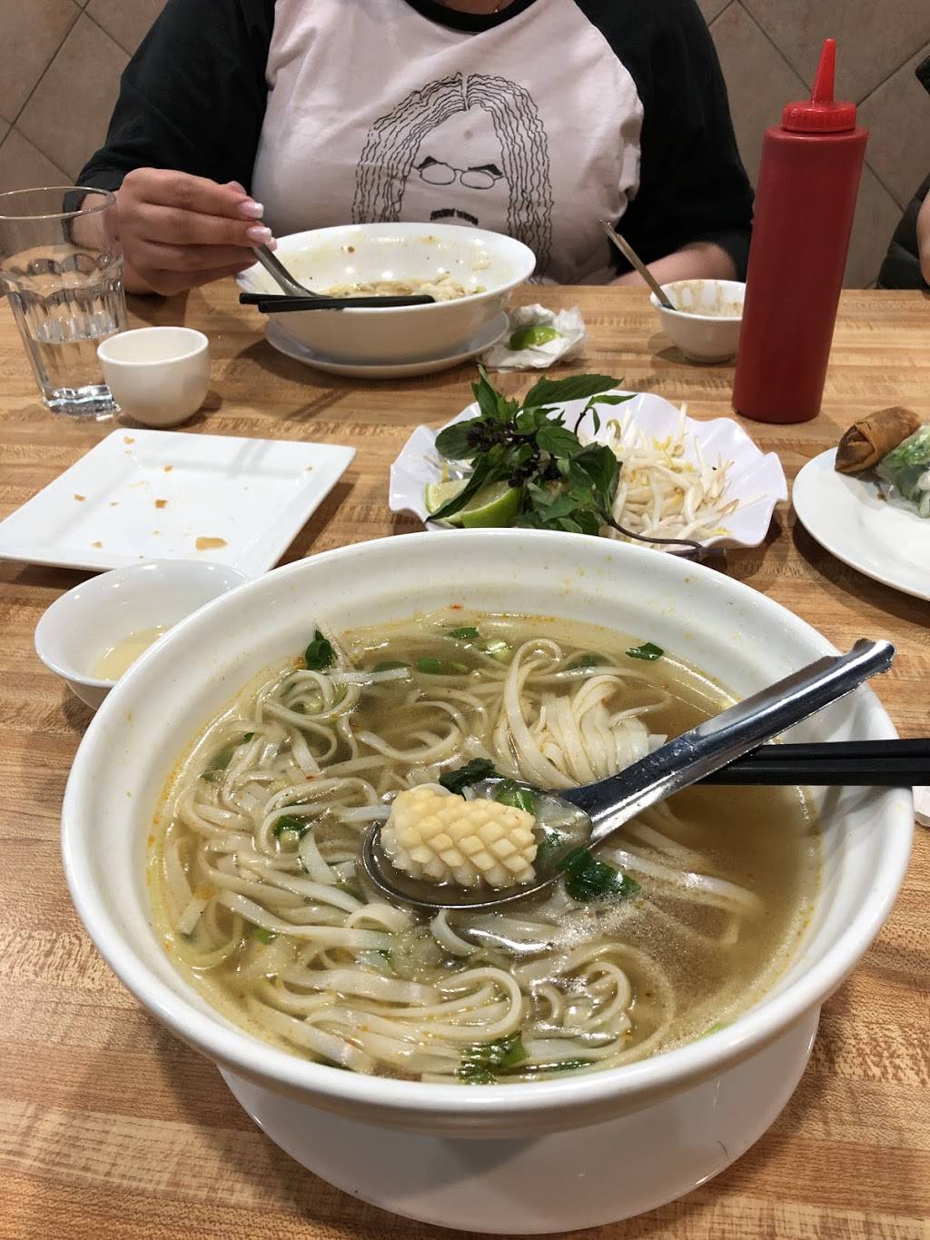 Da Nang Restaurant | restaurant | 2725 Jane St, North York, ON M3L 1S3, Canada | 4167477888 OR +1 416-747-7888