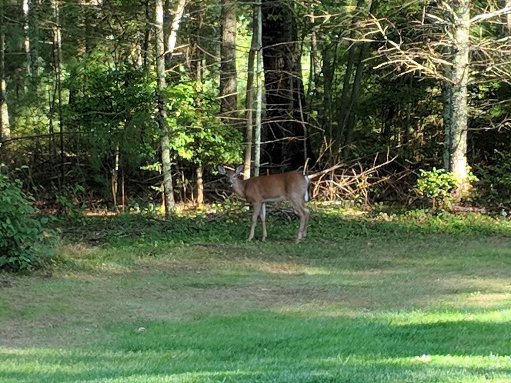 Richmond Country Club | restaurant | 74 Sandy Pond Rd, Hope Valley, RI 02832, USA | 4013649200 OR +1 401-364-9200