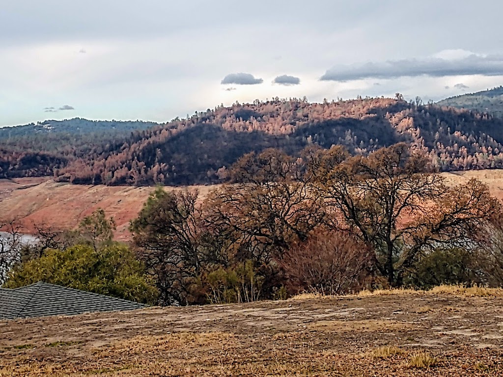 Lake Oroville Golf & Event Center | restaurant | 5131 Royal Oaks Dr, Oroville, CA 95966, USA | 5305890777 OR +1 530-589-0777