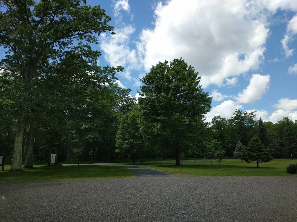 Lakeview Golf & Pizza | restaurant | 10334 Sandy Beach Rd, Hayward, WI 54843, USA | 7154623787 OR +1 715-462-3787