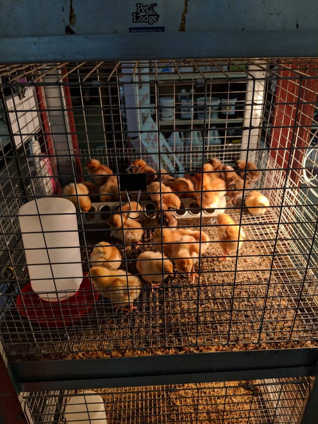 Pittsboro Feed | restaurant | 1103 East St, Pittsboro, NC 27312, USA | 9195422454 OR +1 919-542-2454