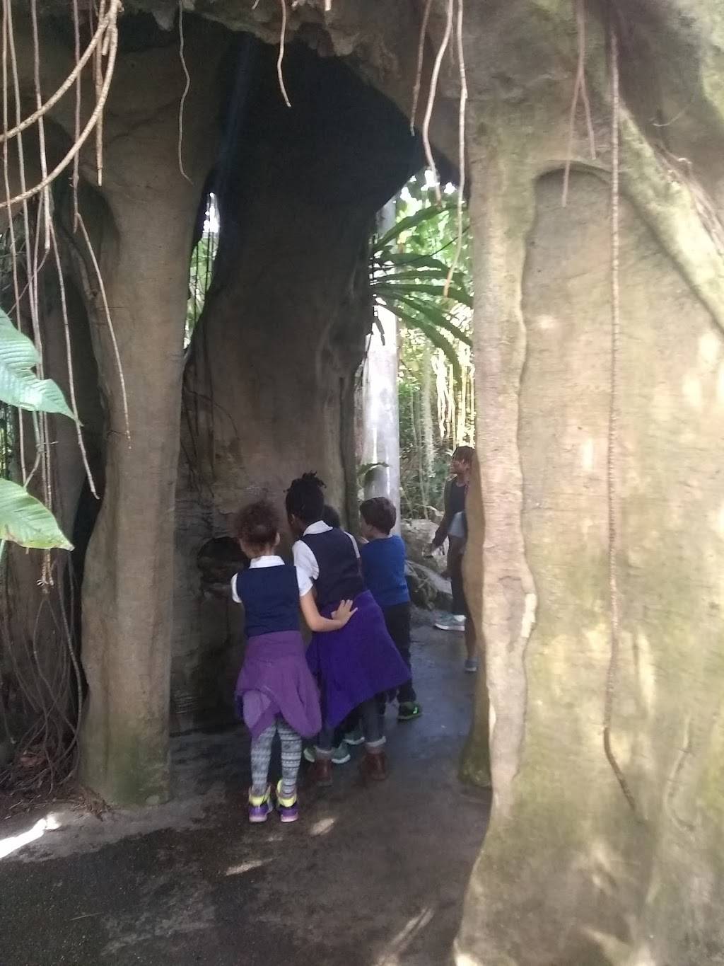 Infinity Sports Lounge | restaurant | 770 E 185th St, Euclid, OH 44119, USA | 2164815002 OR +1 216-481-5002