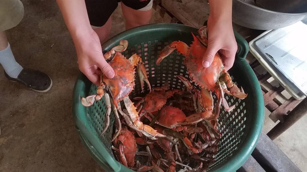 Billys Crabs | restaurant | 1605 McGinnes Rd, Chestertown, MD 21620, USA | 4107783511 OR +1 410-778-3511