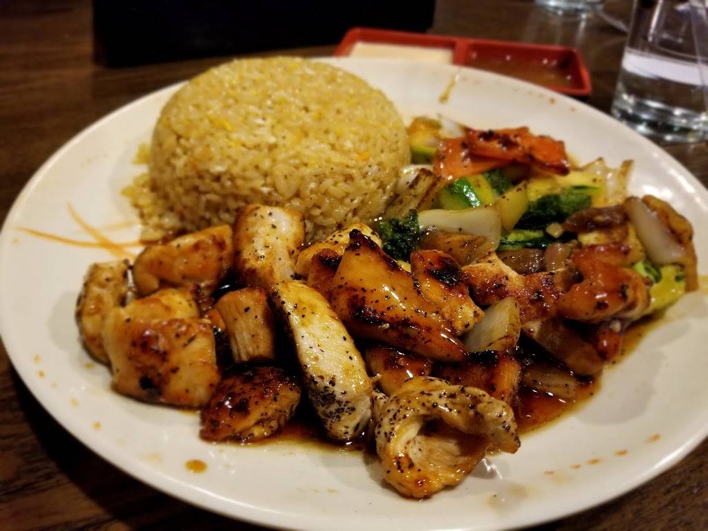 Ichiban Sushi & Hibachi Japanese Restaurant | restaurant | 181 Grant Ave, Auburn, NY 13021, USA | 3152552222 OR +1 315-255-2222