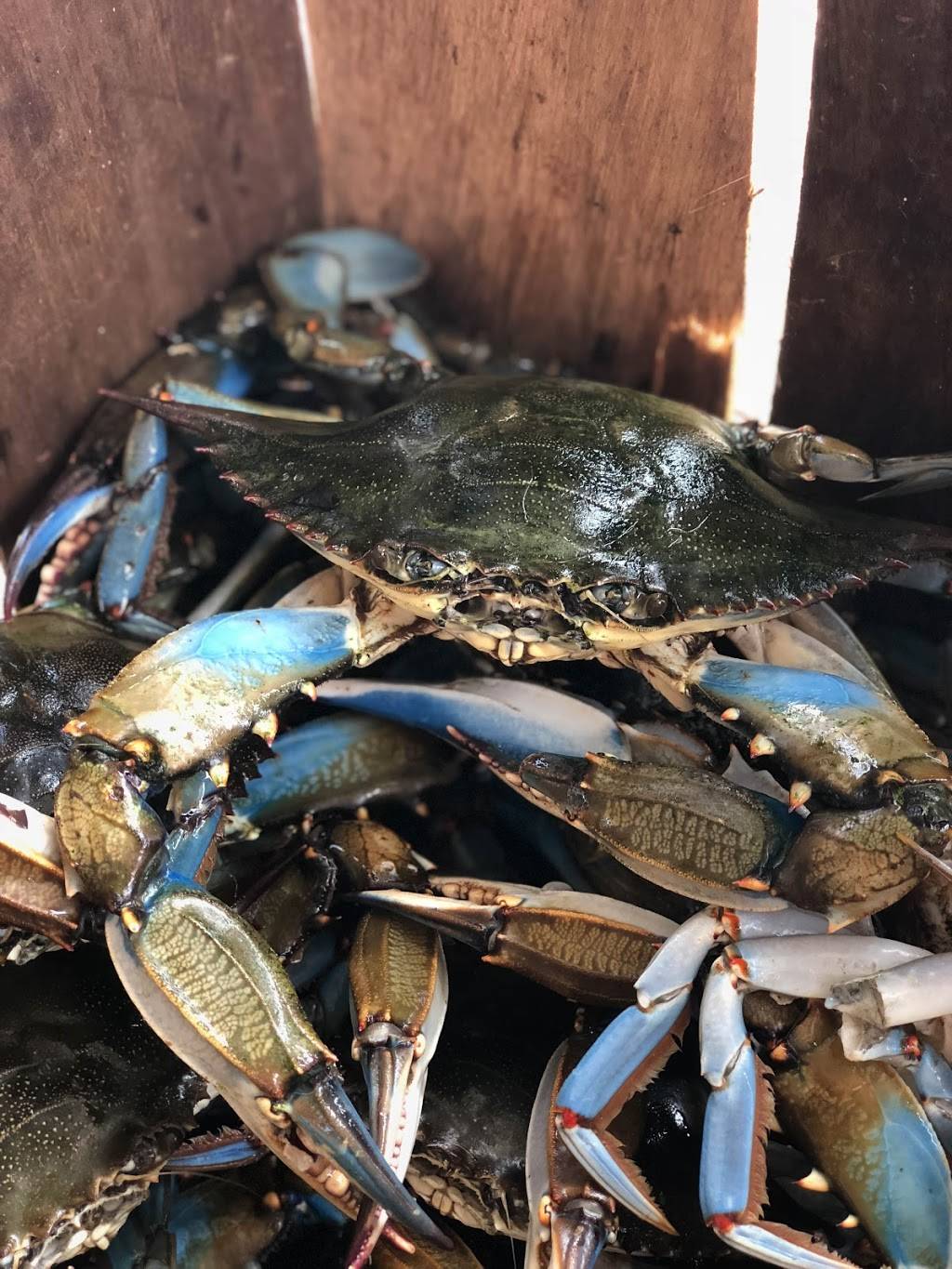 Peace River Seafood | restaurant | 5337 Duncan Rd, Punta Gorda, FL 33982, USA | 9415058440 OR +1 941-505-8440