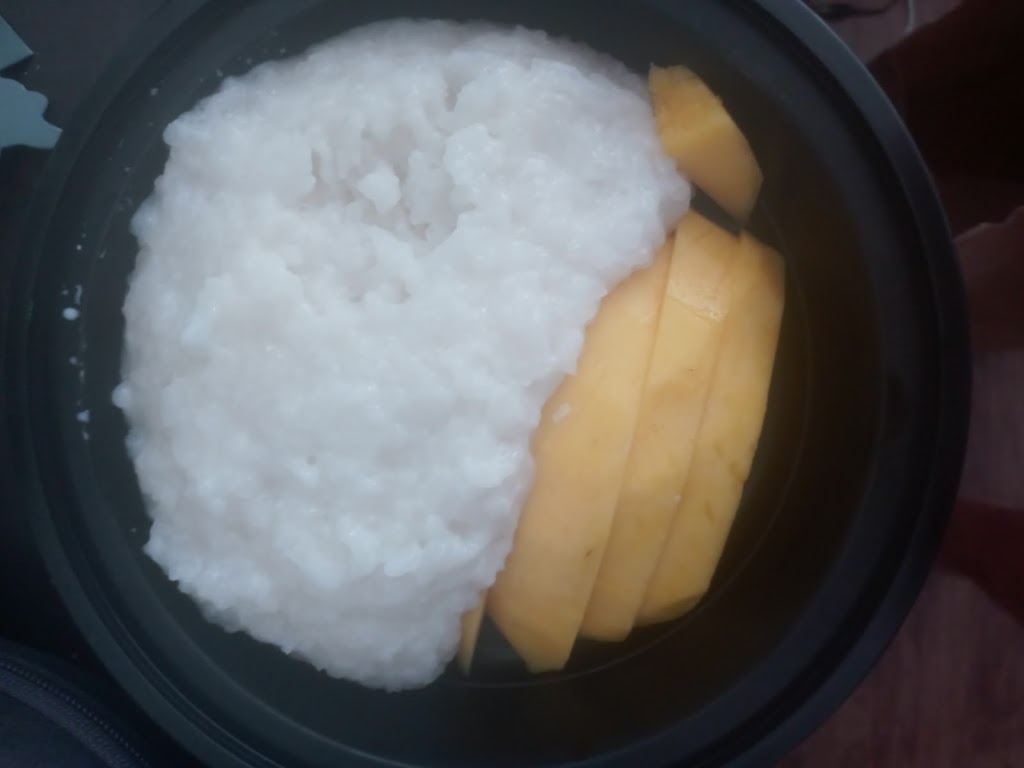 Bamboo Thai Cafe | restaurant | 4500 Montrose Blvd Suite D, Houston, TX 77006, USA | 7135295057 OR +1 713-529-5057