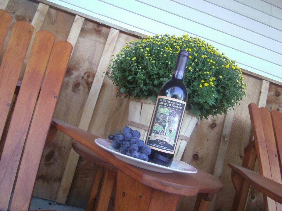 Gilmanton Winery and Restaurant | restaurant | 528 Meadow Pond Rd, Gilmanton, NH 03237, USA | 6032678251 OR +1 603-267-8251