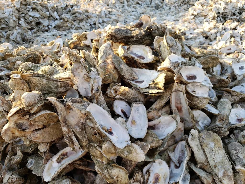 Bowens Island Restaurant | restaurant | 1870 Bowens Island Rd, Charleston, SC 29412, USA | 8437952757 OR +1 843-795-2757