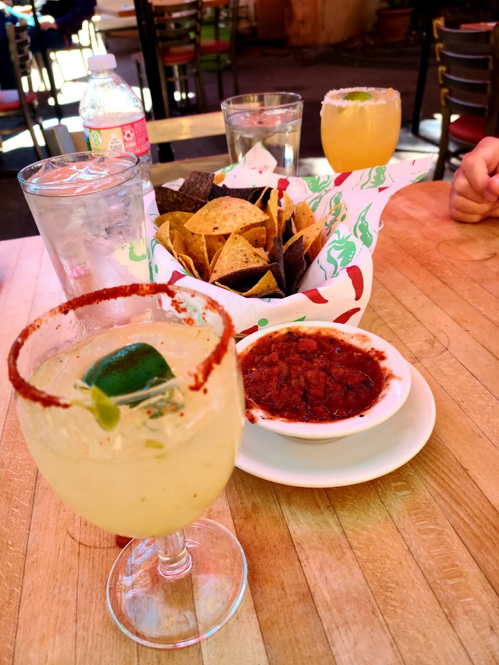 The Shed Restaurant | restaurant | 113 1/2 E Palace Ave, Santa Fe, NM 87501, USA | 5059829030 OR +1 505-982-9030