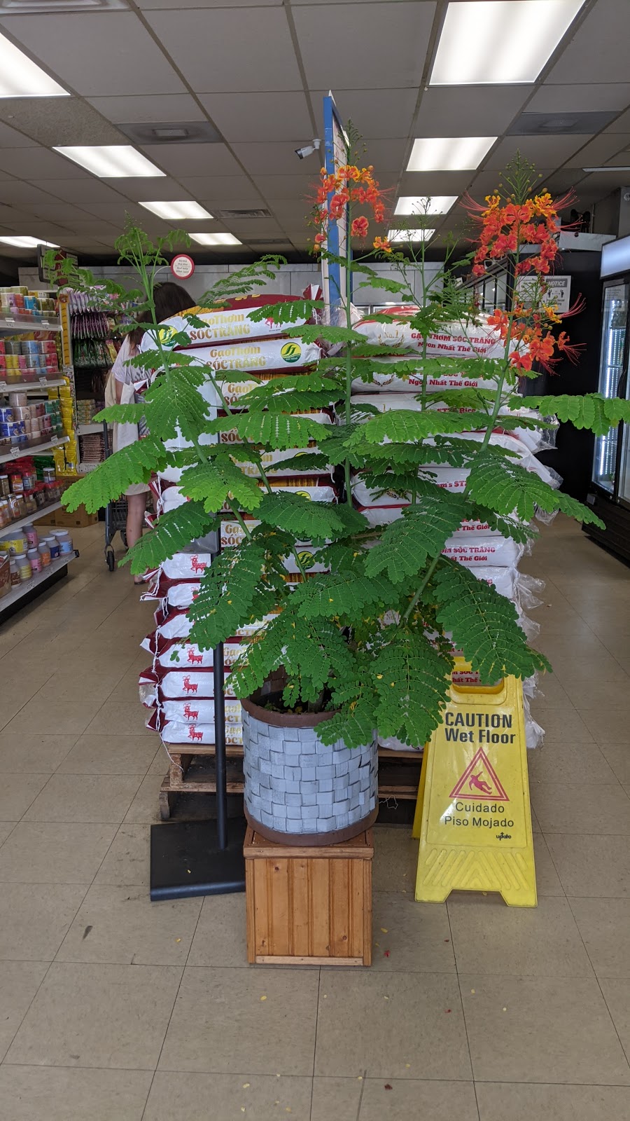 Saigon Oriental Market and Deli | restaurant | 604 N Pace Blvd, Pensacola, FL 32505, USA | 8509126555 OR +1 850-912-6555