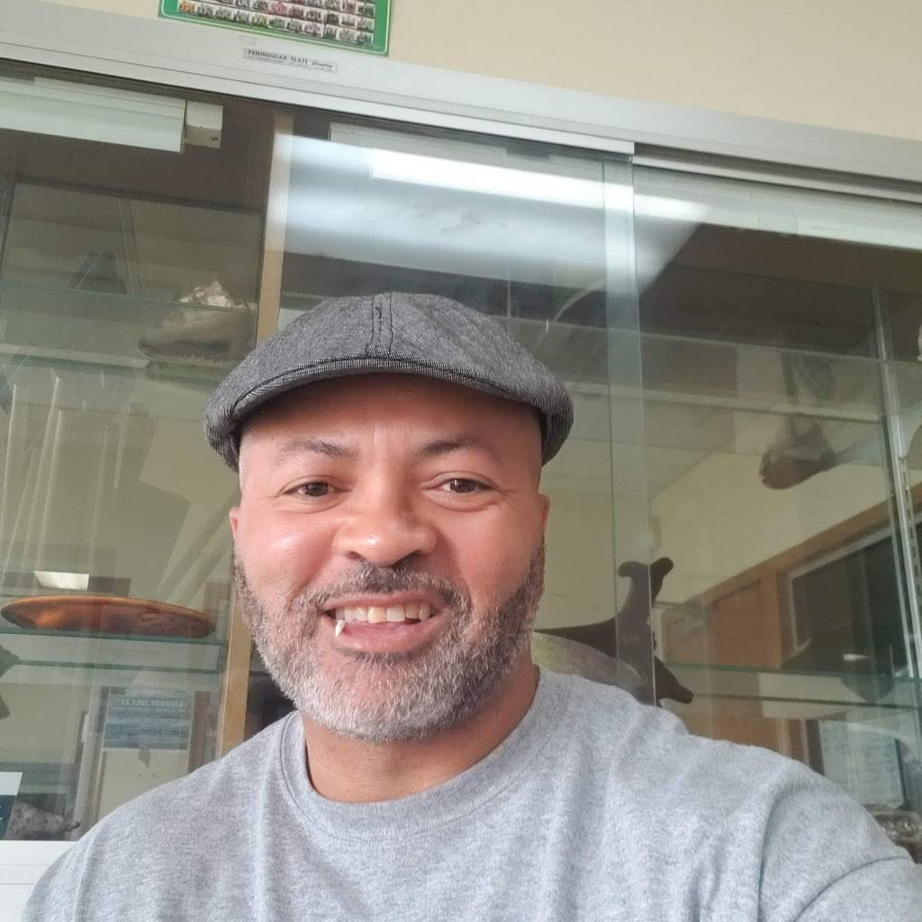 Ronos Caribbean Family Dining | restaurant | 14001 W McNichols Rd, Detroit, MI 48235, USA | 3133424073 OR +1 313-342-4073