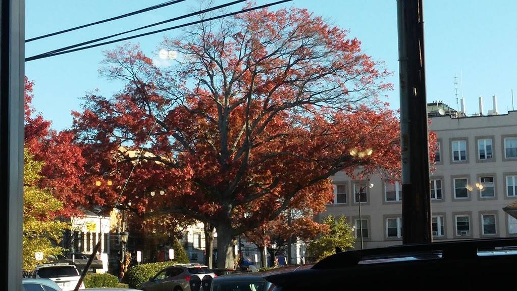 Haven Diner | restaurant | 6 Haven Ave, Port Washington, NY 11050, USA | 5168835252 OR +1 516-883-5252