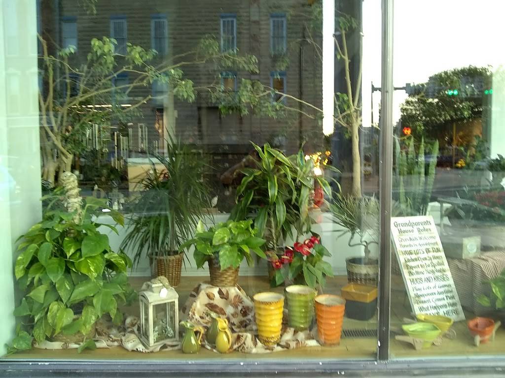 The Blue Moose | restaurant | 102 W Main St, Delphi, IN 46923, USA | 7652017011 OR +1 765-201-7011