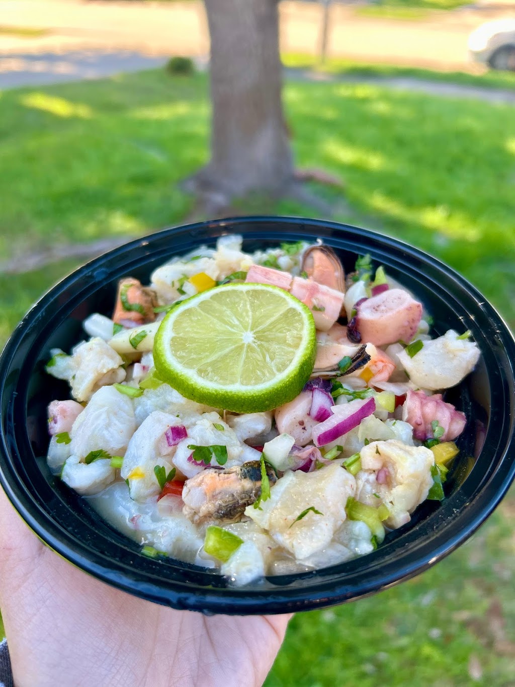 Mr. Fish Cevicheria | restaurant | 1431 S Mason Rd, Katy, TX 77450, USA | 9794657748 OR +1 979-465-7748