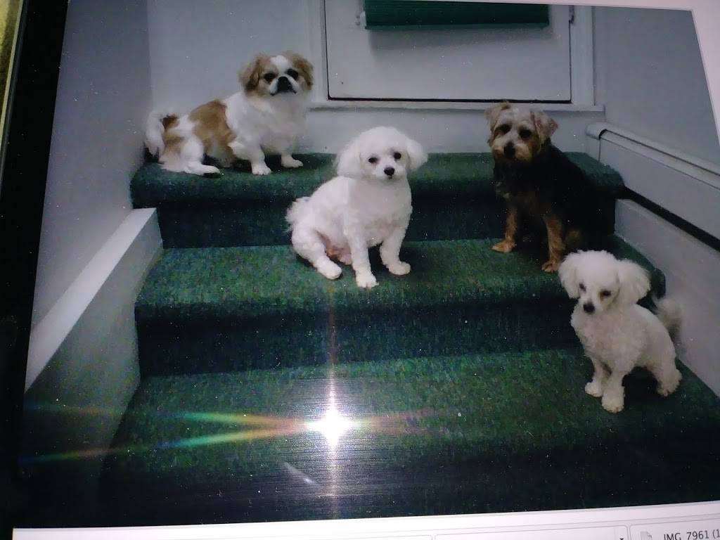 Josies | restaurant | 228 Stuyvesant Ave, Lyndhurst, NJ 07071, USA | 2019331966 OR +1 201-933-1966