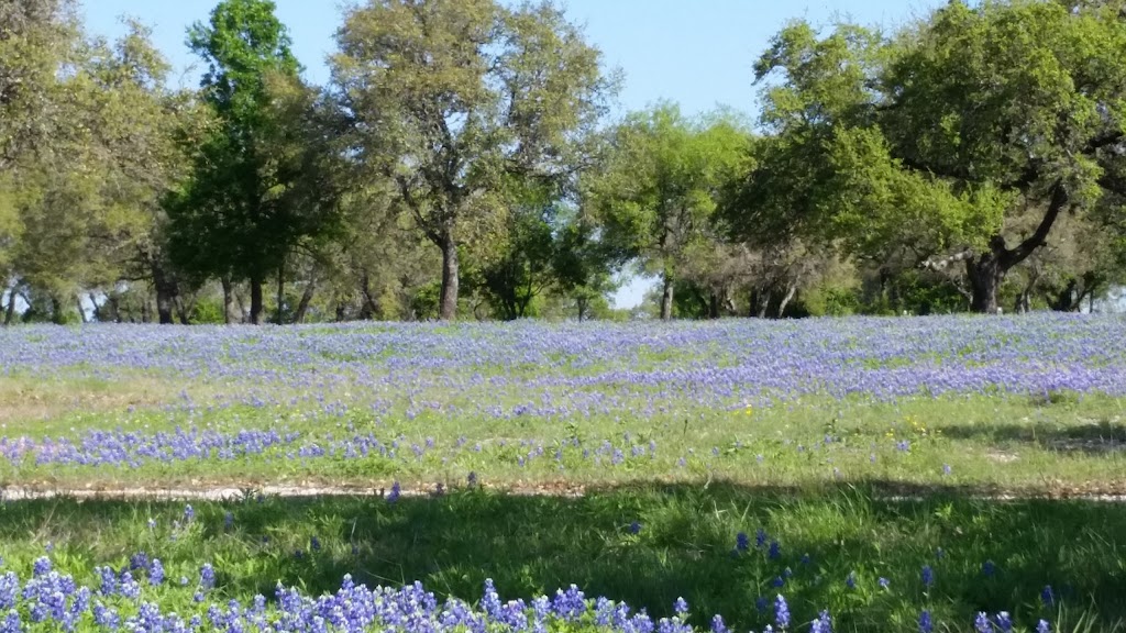 Briggs Ranch Golf Club | restaurant | 2818 Rustlers Trail, San Antonio, TX 78245, USA | 2106709400 OR +1 210-670-9400