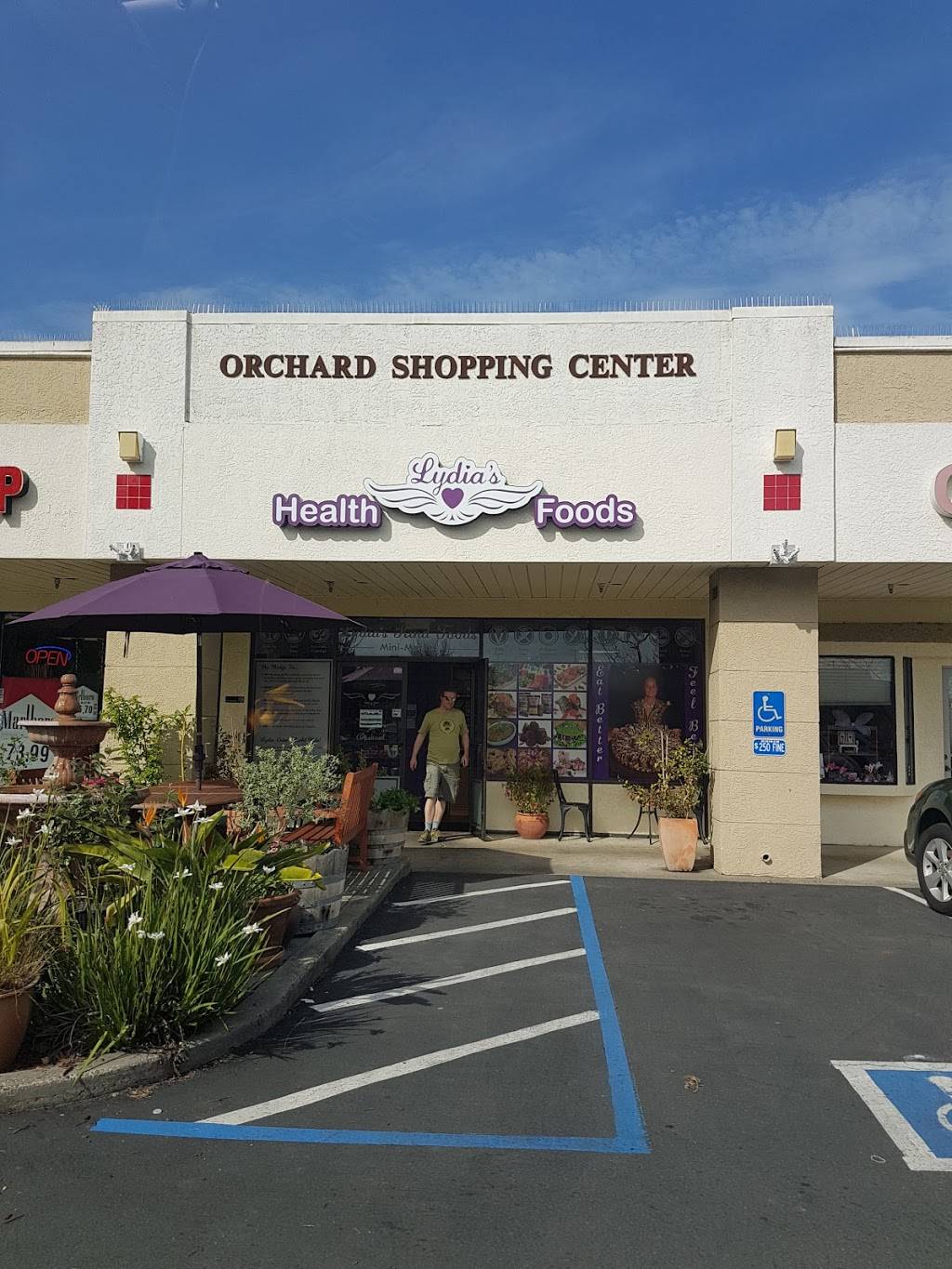 Lydias Health Foods | restaurant | 1390 N McDowell Blvd suite e, Petaluma, CA 94954, USA | 7079920776 OR +1 707-992-0776