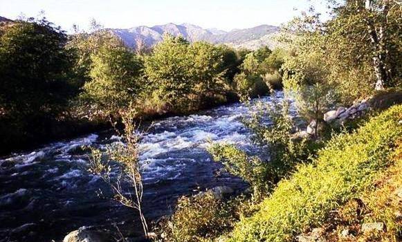 River View Restaurant & Lounge | restaurant | 42323 Sierra Dr, Three Rivers, CA 93271, USA | 5595612211 OR +1 559-561-2211