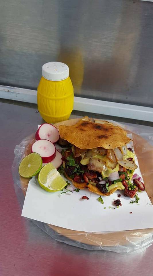 Xolo Tacos La Cuesta | restaurant | Tijuana, Baja California, Mexico | 016643113822 OR +52 664 311 3822