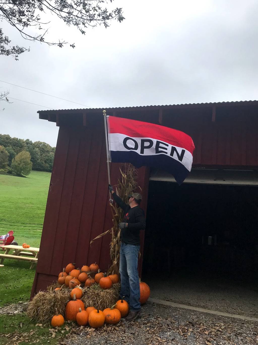 Mckie Hollow Farm | restaurant | 359 Mc Kie Hollow Rd, Cambridge, NY 12816, USA | 5183504991 OR +1 518-350-4991