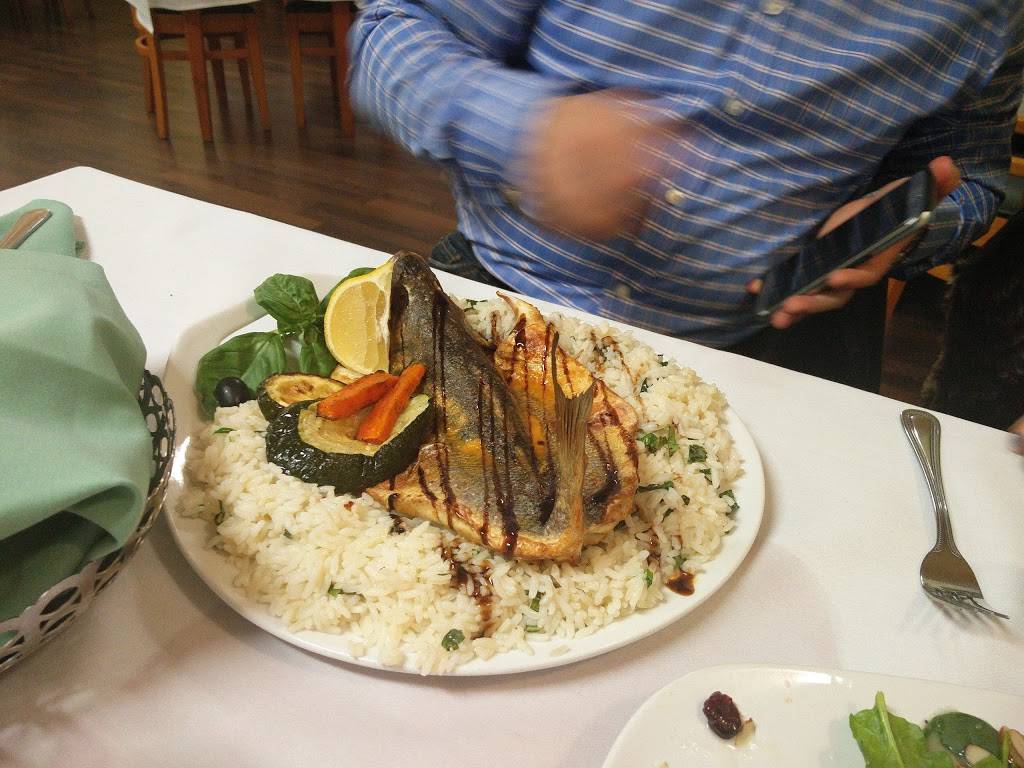 Cafe Light | restaurant | 9825 Bustleton Ave, Philadelphia, PA 19115, USA | 2154379790 OR +1 215-437-9790