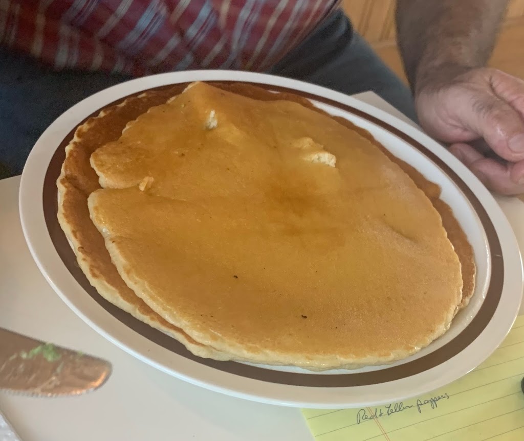 Sams Airport Diner | restaurant | E2513 Co Rd JJ, Spring Green, WI 53588, USA | 6084595236 OR +1 608-459-5236