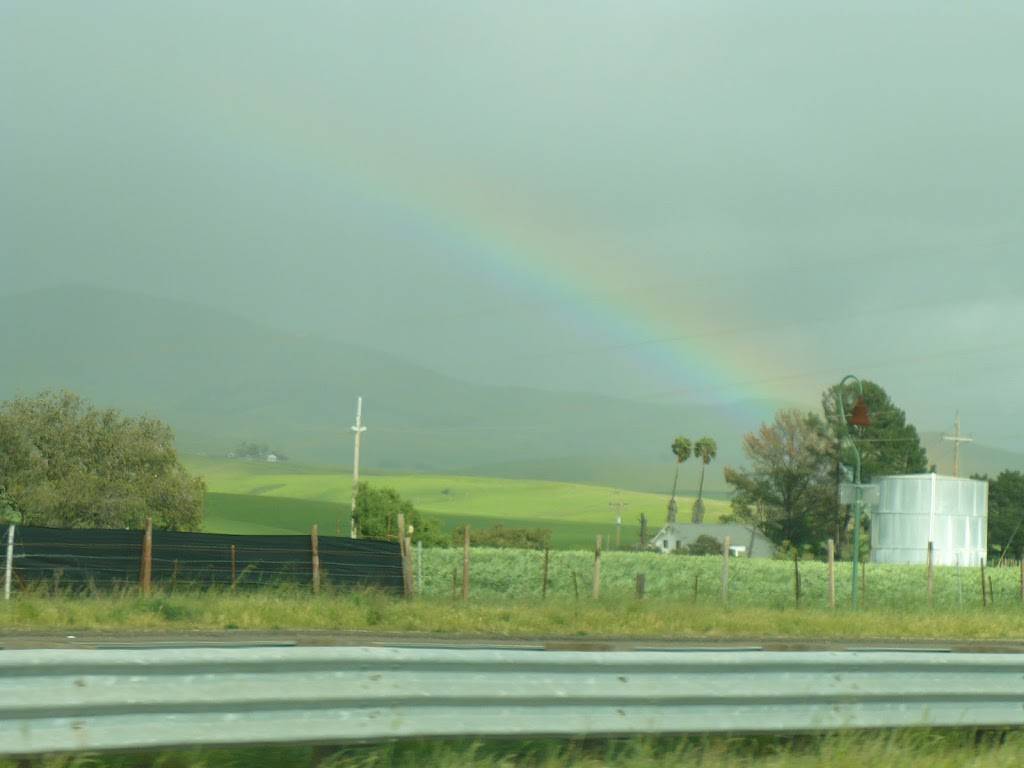 Jack in the Box | restaurant | 250 E Hwy 246, Buellton, CA 93427, USA | 8056886886 OR +1 805-688-6886