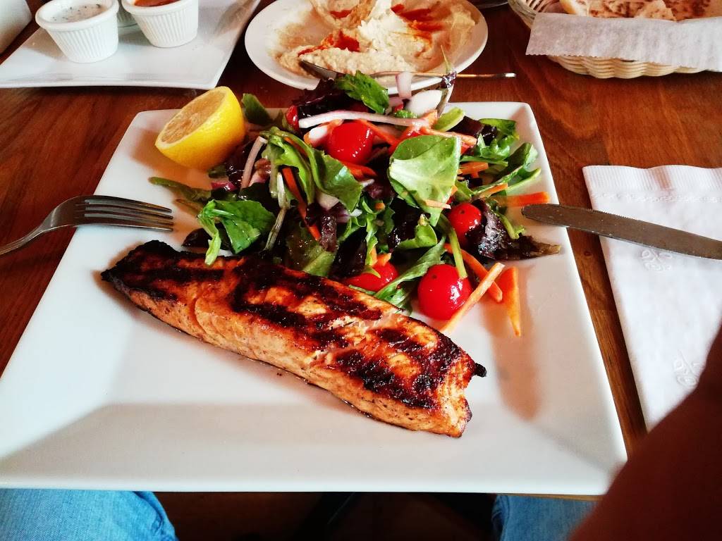 Efes Mediterranean Grill | restaurant | 32 Easton Ave, New Brunswick, NJ 08901, USA | 7322494100 OR +1 732-249-4100