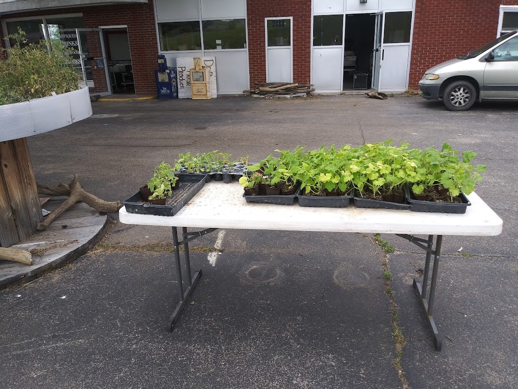 Driftwood trading post | restaurant | 2380 IN-135, Vallonia, IN 47281, USA | 8125287509 OR +1 812-528-7509