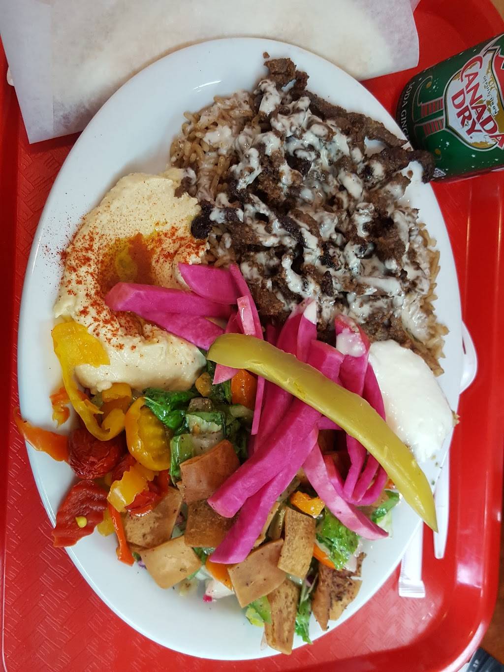 Alissar Lebanese Cuisine | restaurant | 1765 St Laurent Blvd, Ottawa, ON K1G 3V4, Canada | 6132490888 OR +1 613-249-0888