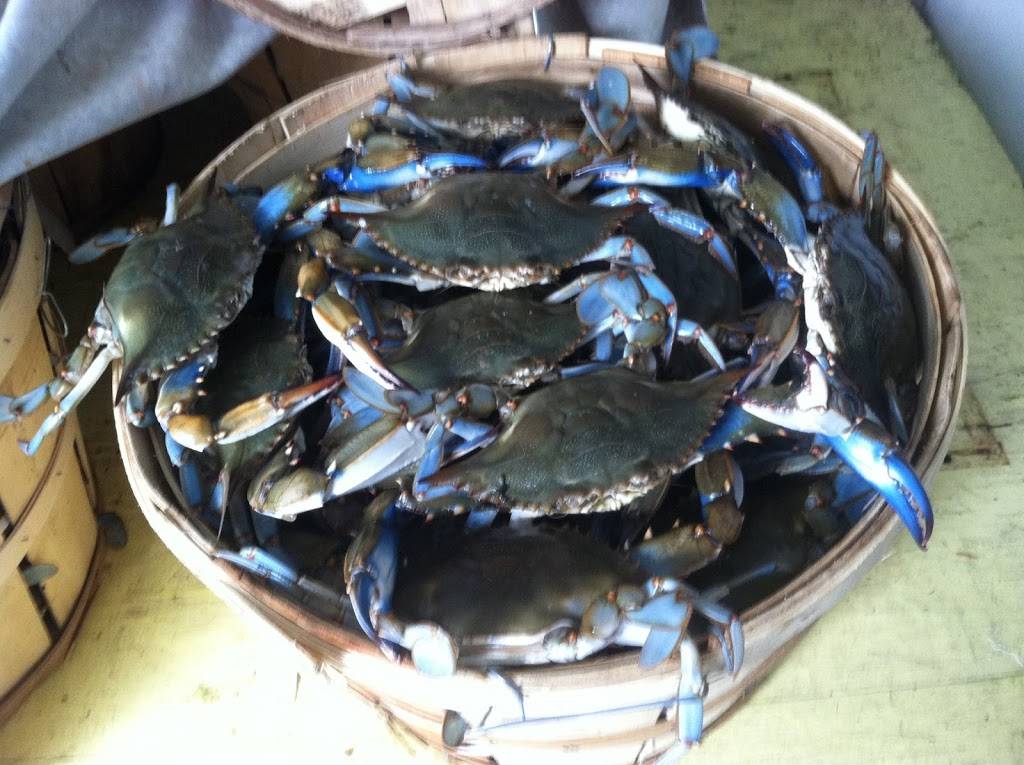 Logullos Country Market | restaurant | 5261 Summit Bridge Rd, Middletown, DE 19709, USA | 3023783620 OR +1 302-378-3620