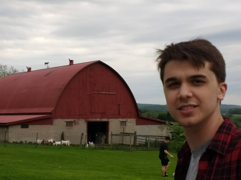 Country Cafe & Video | restaurant | 2082 PA-130, Pleasant Unity, PA 15676, USA | 7244238039 OR +1 724-423-8039