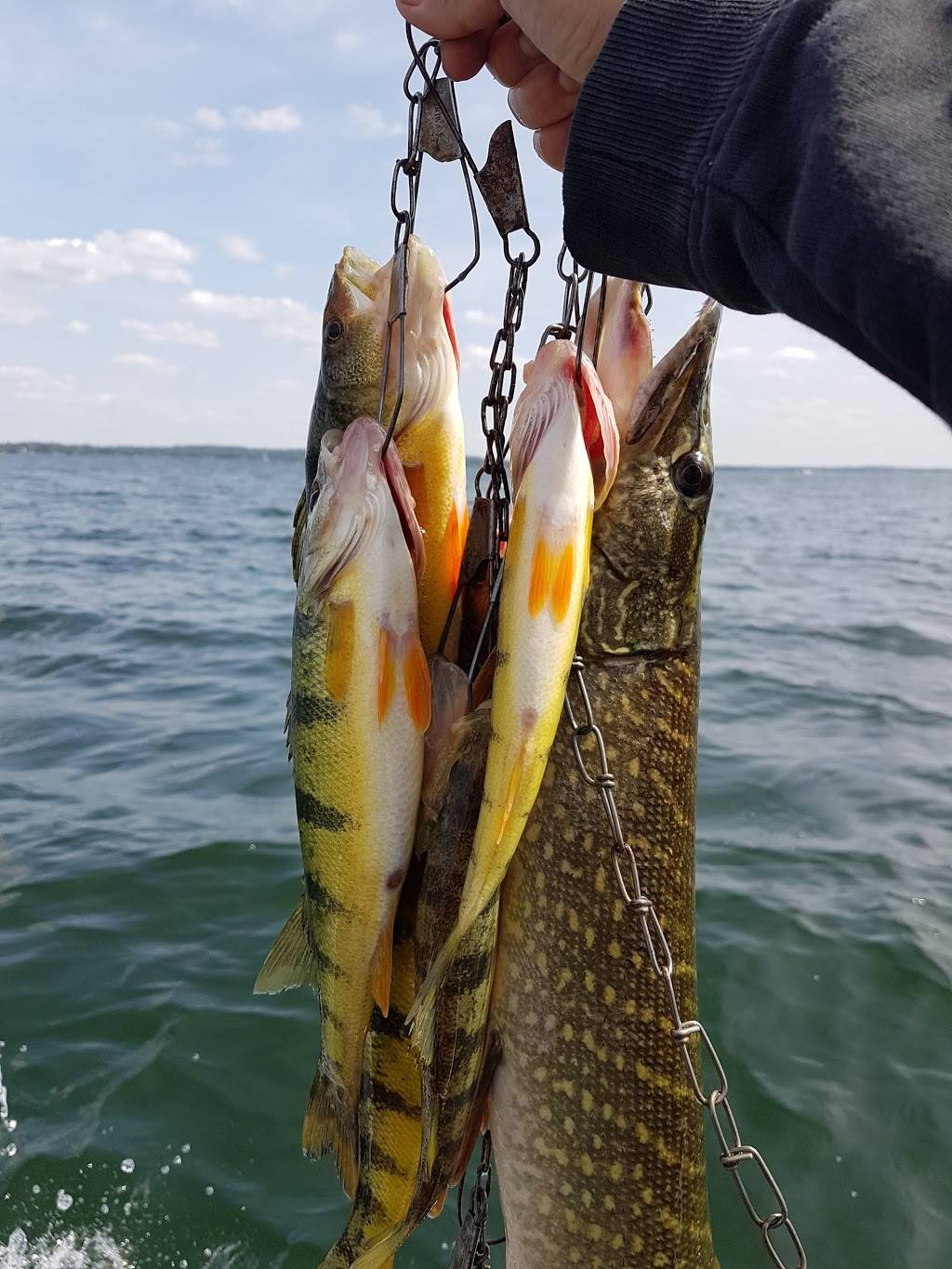 Monto-Reno Marina | restaurant | 1111 Killarney Beach Rd, Lefroy, ON L0L 1W0, Canada | 7054562122 OR +1 705-456-2122