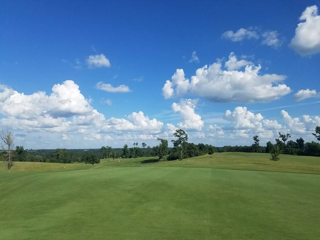 Eagles Nest Golf Course | restaurant | 2060 Aubrey Carr Scenic Dr, Guntersville, AL 35976, USA | 2565715458 OR +1 256-571-5458