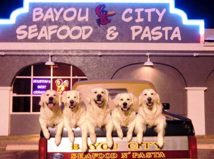 Bayou City Seafood & Pasta | restaurant | 4730 Richmond Ave, Houston, TX 77027, USA | 7136216602 OR +1 713-621-6602