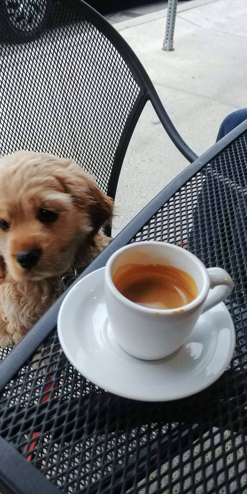 Duggans Coffee Shop | cafe | 2227 Lead Ave SE, Albuquerque, NM 87106, USA | 5053127257 OR +1 505-312-7257