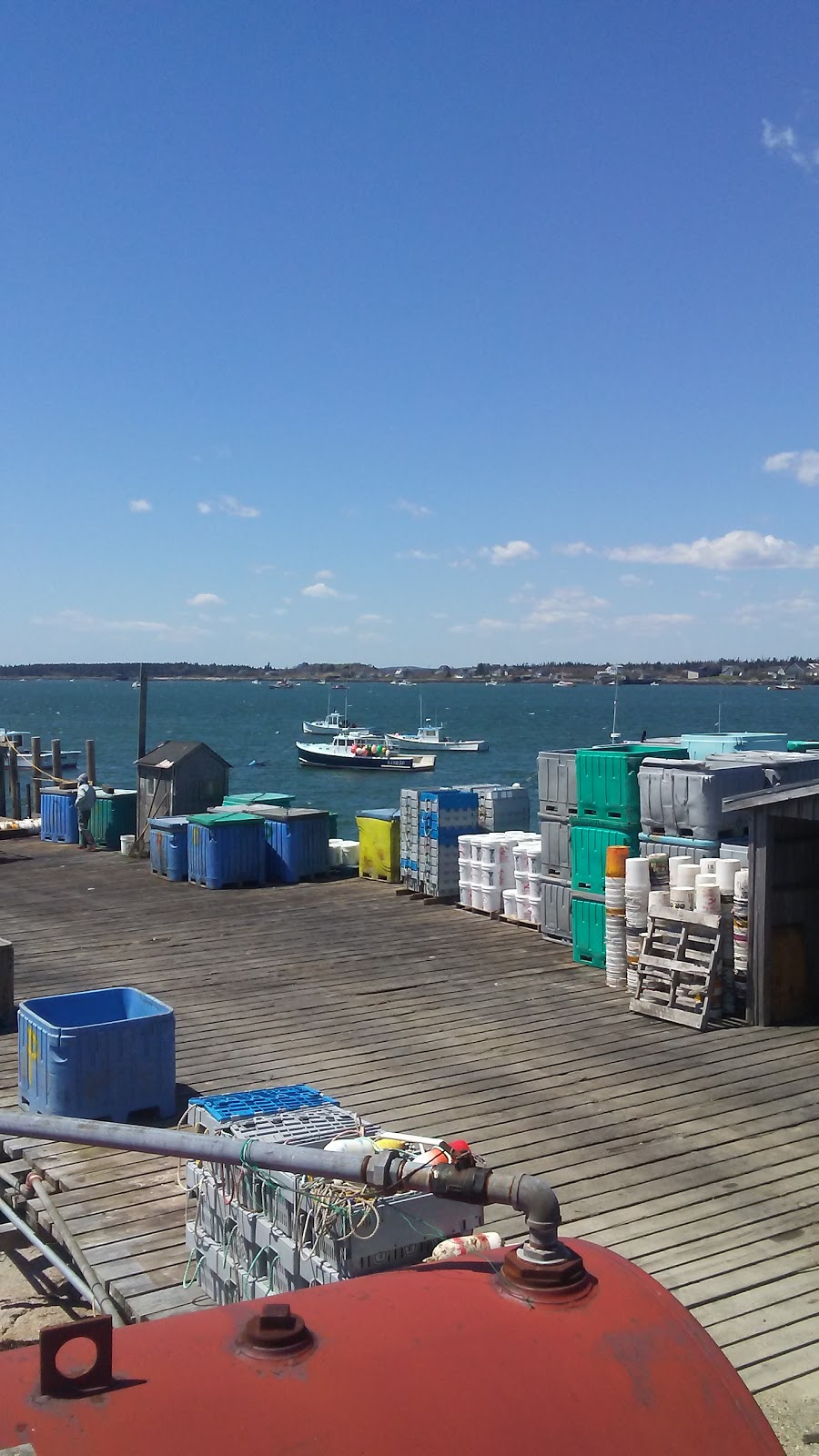 Barneys Cove Lobster Co | restaurant | 7 Wharf Rd, Beals, ME 04611, USA | 2074972244 OR +1 207-497-2244