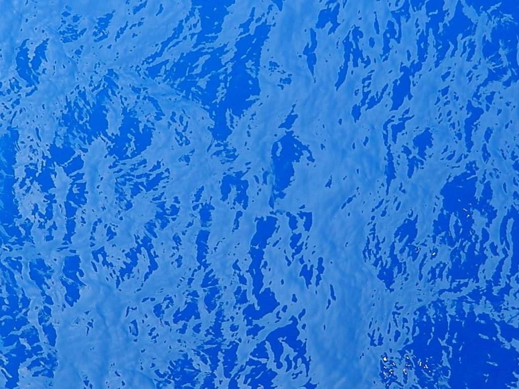 DAS Ocean | restaurant | 8500 Cypresswood Dr, Houston, TX 77070, USA | 7132545770 OR +1 713-254-5770