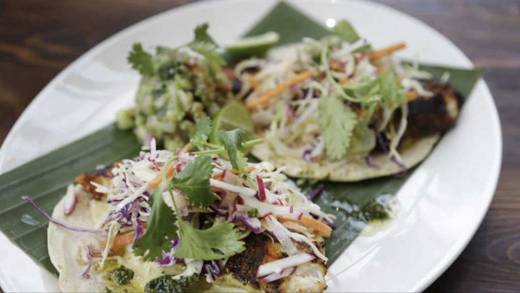 Goode Company Kitchen & Cantina - Memorial | restaurant | 9005 Katy Fwy, Houston, TX 77024, USA | 7137663434 OR +1 713-766-3434