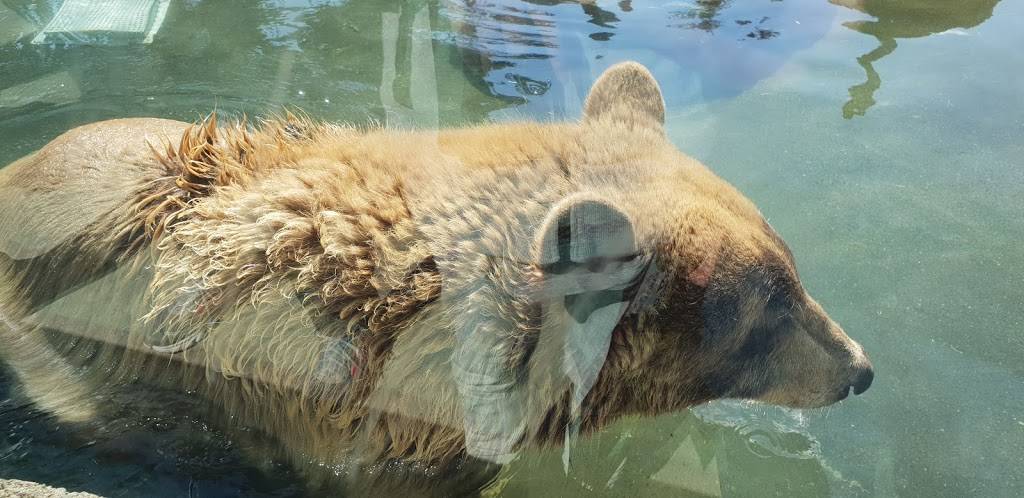 The Landing Cafe | restaurant | 9777 Golf Links Rd, Oakland, CA 94605, USA | 5106329525 OR +1 510-632-9525