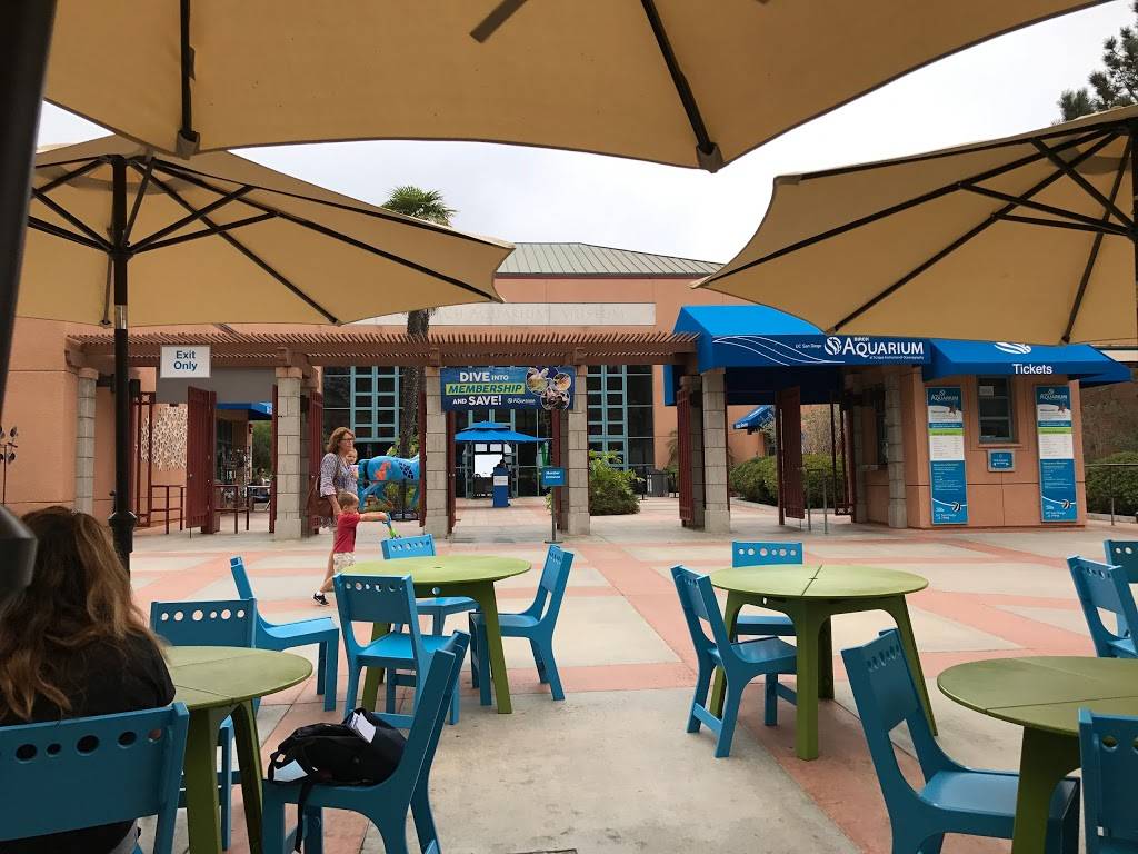 Splash Cafe French Gourmet | restaurant | 2300 Expedition Way, La Jolla, CA 92037, USA | 8584881725 OR +1 858-488-1725