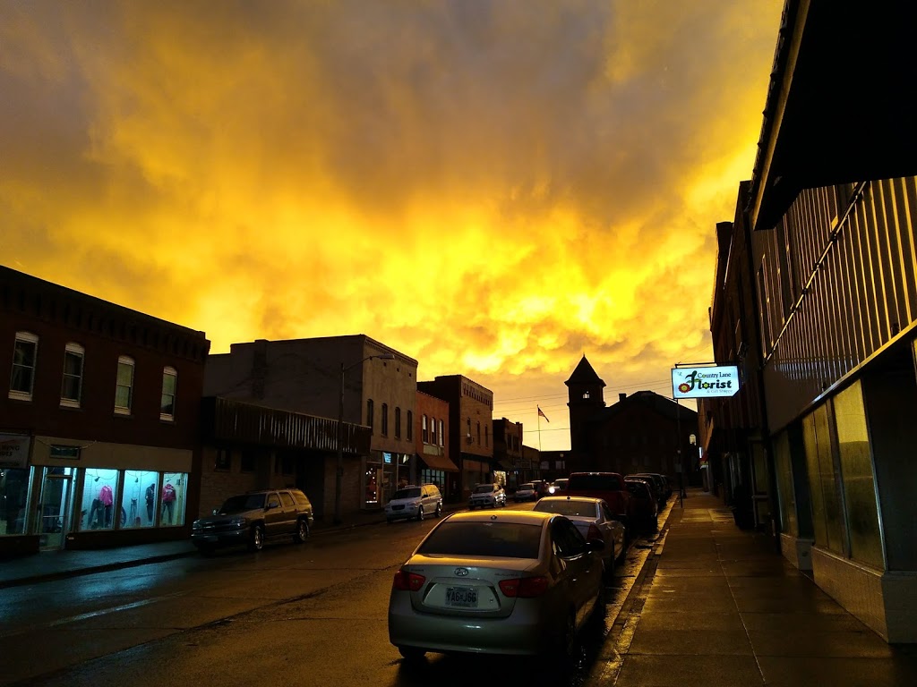 New China | restaurant | 120 E Main St, Fredericktown, MO 63645, USA | 5737833399 OR +1 573-783-3399